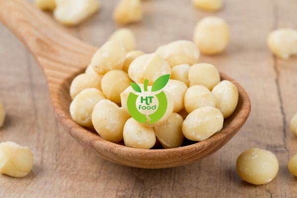 Macadamia-nuts-2
