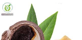 Nên ăn bao nhiêu hạt macca mỗi ngày? Nên ăn bao nhiêu hạt macca mỗi ngày?