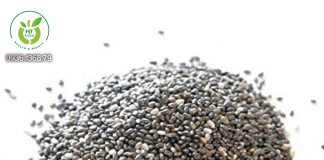 Hạt chia có tác dụng gì? Hạt chia có tác dụng gì?