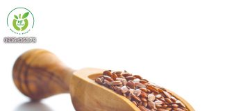 Hạt lanh là hạt gì? Hạt lanh