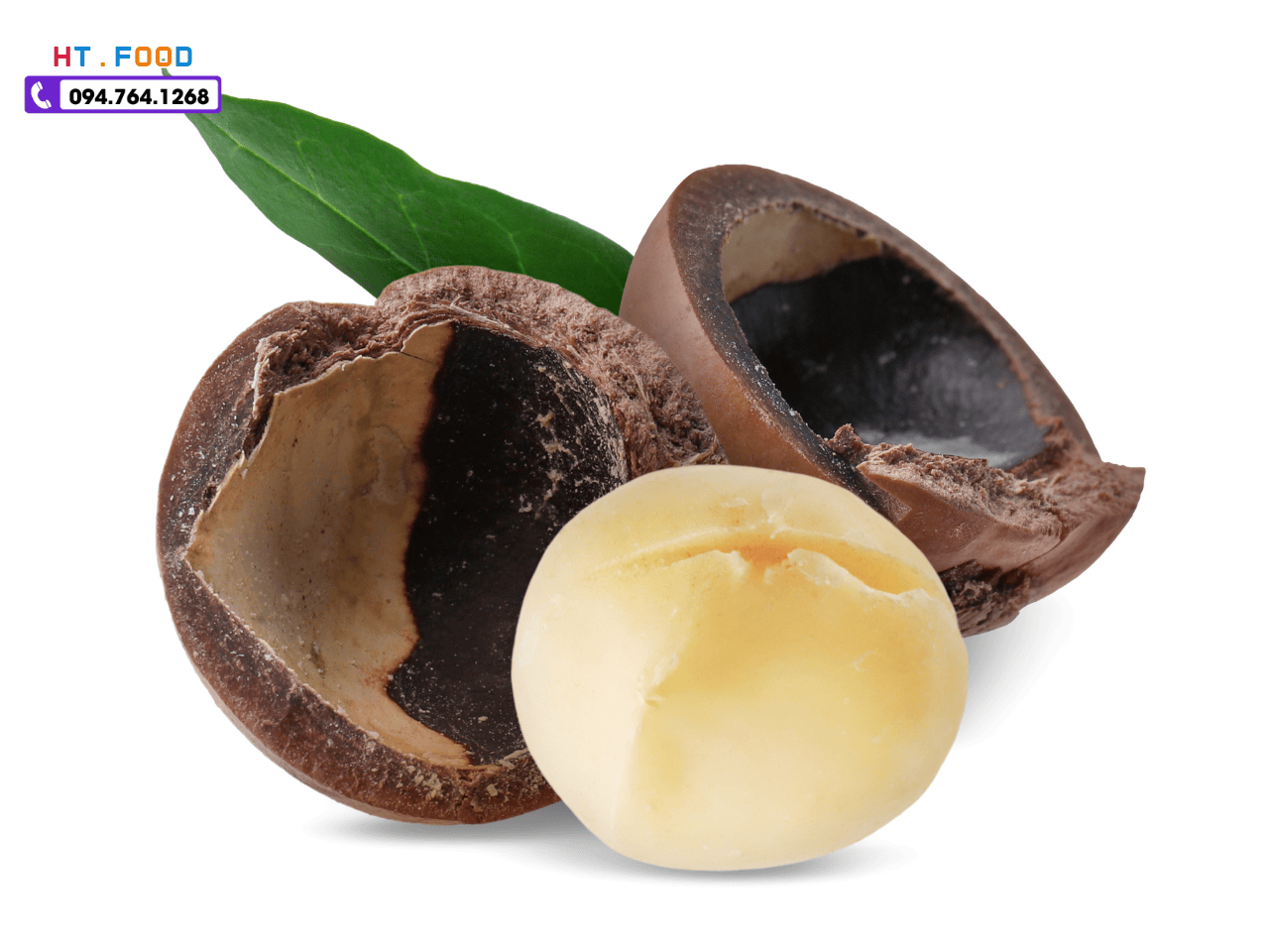 Hat macca Dak Lak mua o dau uy tin