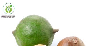 Hạt macca giảm cân Hạt macca giảm cân