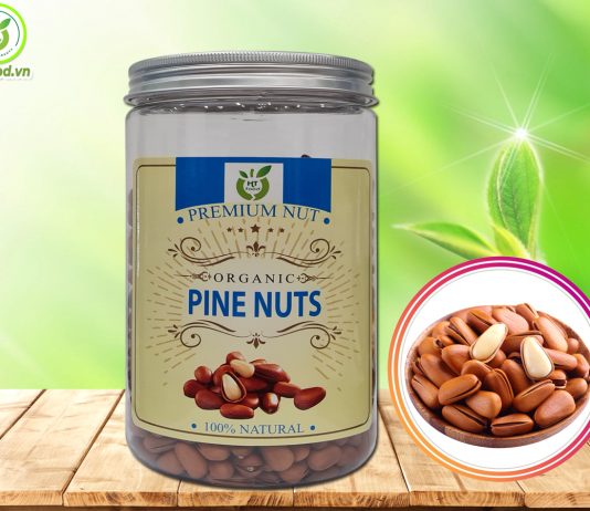 Địa chỉ bán hạt thông tại Nghệ An uy tín đảm bảo chất lượng!