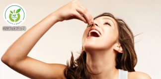 Làm đẹp từ hạt hạnh nhân Làm đẹp từ hạt hạnh nhân