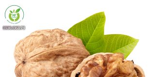 Lợi ích không ngờ của quả óc chó Lợi ích không ngờ của quả óc chó