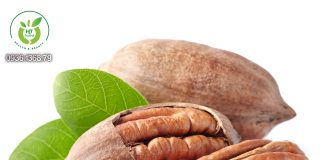 Mua quả hồ đào ở đâu? Mua quả hồ đào ở đâu?