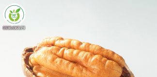 Mua quả hồ đào ở đâu Hà Nội? Mua quả hồ đào ở đâu Hà Nội