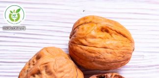 Mua hạt óc chó ở đâu Bình Dương? Mua quả óc chó ở Bình Dương