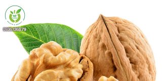 Mua quả óc chó ở đâu Gò Vấp TpHCM? Mua quả óc chó ở đâu Gò Vấp TpHCM?