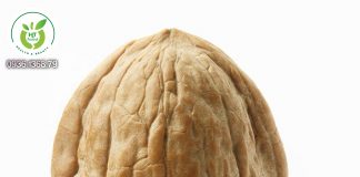 Mua quả óc chó ở quận Phú Nhuận TpHCM Mua quả óc chó ở quận Phú Nhuận TpHCM