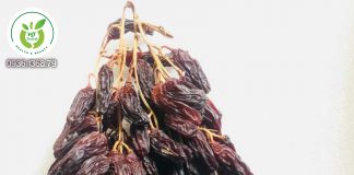 Nho khô nguyên cành mua ở đâu? Nho khô nguyên cành