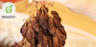 Nho khô nguyên cành Crimson Nho khô nguyên cành Crimson