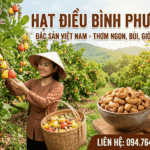 Tác dụng của hạt điều rang muối – Top 10 lợi ích ít người biết Nhung tac dung tot cua hat dieu rang muoi