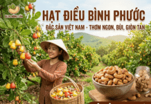 Tác dụng của hạt điều rang muối – Top 10 lợi ích ít người biết Nhung tac dung tot cua hat dieu rang muoi