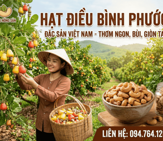Tác dụng của hạt điều rang muối – Top 10 lợi ích ít người biết Nhung tac dung tot cua hat dieu rang muoi