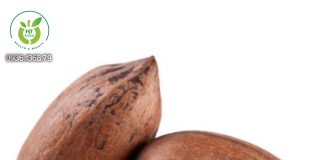 Quả hồ đào có tác dụng gì? Quả hồ đào có tác dụng gì?