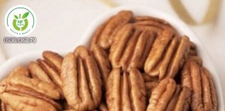 Quả hồ đào tốt cho bệnh tim mạch Quả hồ đào tốt cho bệnh tim mạch