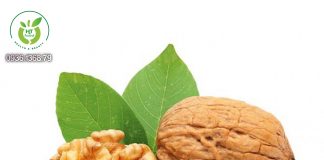 Quả óc chó có tác dụng gì? Quả óc chó có tác dụng thế nào?