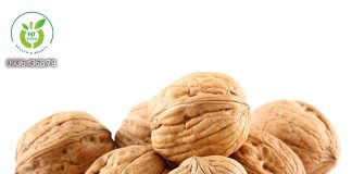 Quả óc chó mua ở đâu Hà Nội? Quả óc chó mua ở Hà Nội