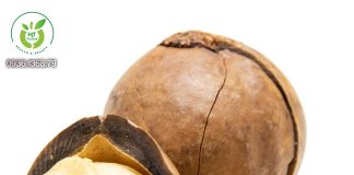 Tác dụng của hạt macca Tác dụng của hạt macca