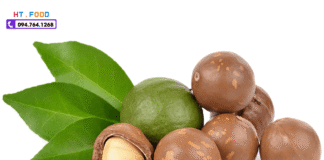 Hạt macca Đắk Lắk loại nào ngon nhất? Cách chọn đúng hạt ngon cach chon macca dak lak ngon