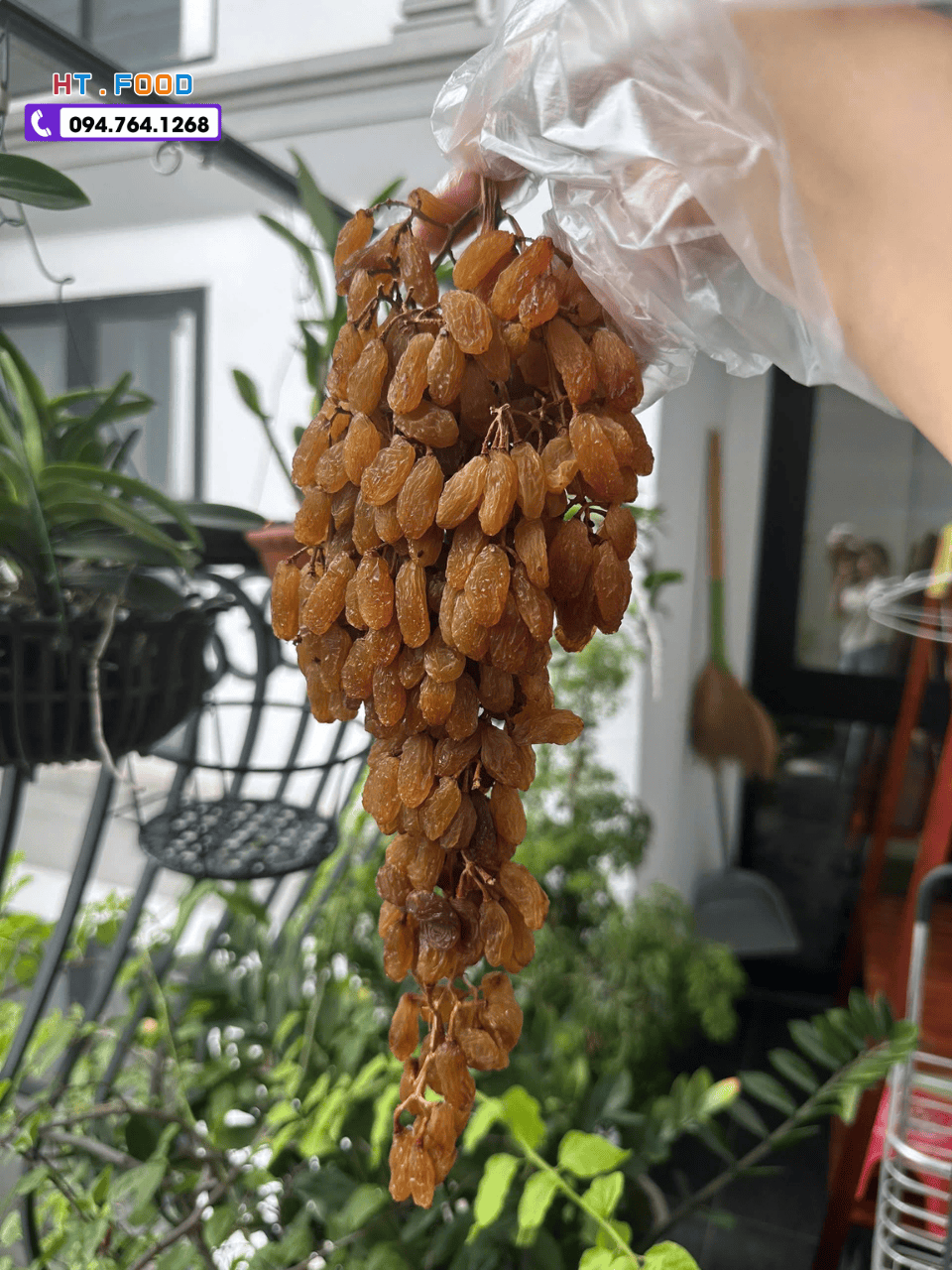 nho kho nguyen canh nhap khau