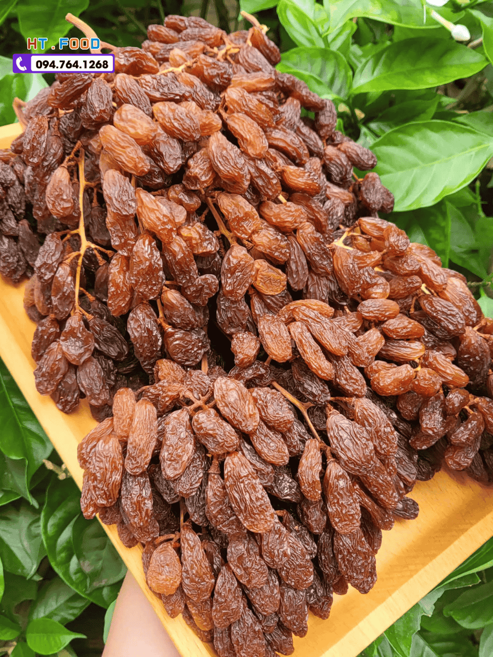 nho kho nguyen canh uc crimson